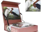 Herons