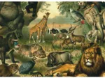 Animaux Savane