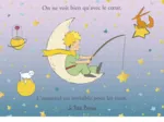 Le Petit Prince - Dégradé Pêche aux Étoiles