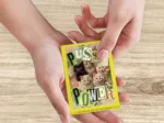 Puzzle Mini 99 pièces - Pussy Power