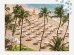 Le Club de Plage - Puzzle 1000 Pièces