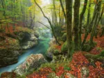 Magic Forests - Little Brook