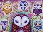 Dreaming, Great Big Owl