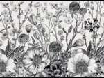 Poésie Florale Monochrome