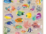 Poissons Exotiques