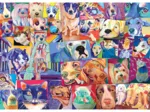 Le Monde Des Chiens Et Chats