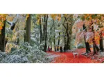 Neige En Automne