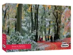 Neige En Automne