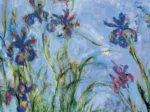Claude Monet : Iris (détail)