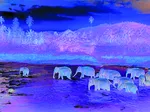 Save our Planet Collection - Forêt Tropicale