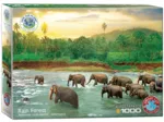 Save our Planet Collection - Forêt Tropicale