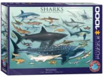 Requins