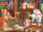 Chatons de Bibliothéque