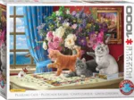 Chats Curieux