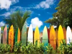 Le paradis des Surfers - Hawaii