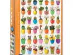 Cactus et Plantes Succulentes