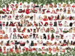 Chiens de Noël