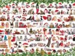 Chats de Noël