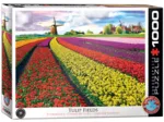 Champ de Tulipes aux Pays-Bas