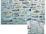 Evolution des avions de guerre