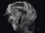 Puissant – Le Cheval : Sous le Signe de la Force