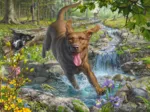 Mark Fredrickson - Retriever au Printemps