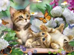 Chatons Espiègles