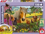 Mignons Visiteurs dans la Prairie