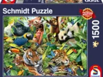 Faune colorée