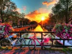 Vélos à Amsterdam