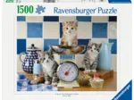 Chatons dans la Cuisine