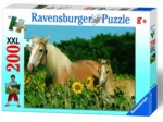 Mon cheval