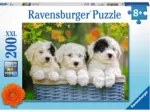 Pièces XXL - Chiots en Peluche