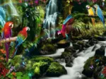Perroquets dans la Jungle