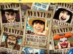 Wanted ! - One Piece