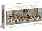 Les Beagles