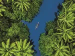 Vue Aérienne Tropicale