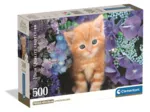 Ginger Cat