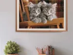 Chatons