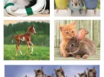 Puzzle 10 En 1 - Amis Des Animaux