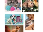 Puzzle 10 En 1 - Amis Des Animaux