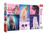 Neon Color Line - Chats