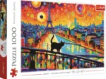 Chat À Paris