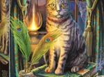 Collection Magic : Livre Des Ombres