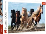 Chevaux
