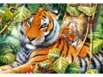 Deux Tigres