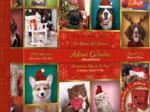 Calendrier De L'Avent Animaux