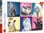 Chatons