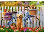 Aventure de Chiots