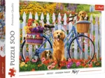 Aventure de Chiots
